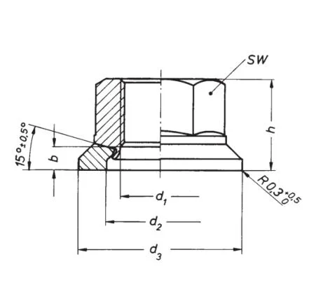 Nuts with Mobile Washer Truck Nuts DIN74361h Wheel Nuts