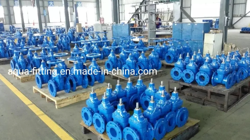 Ductile Iron Gate Valve DIN3352 F4/F5 Soft Resilient Seated Flange End Non-Rising Stem