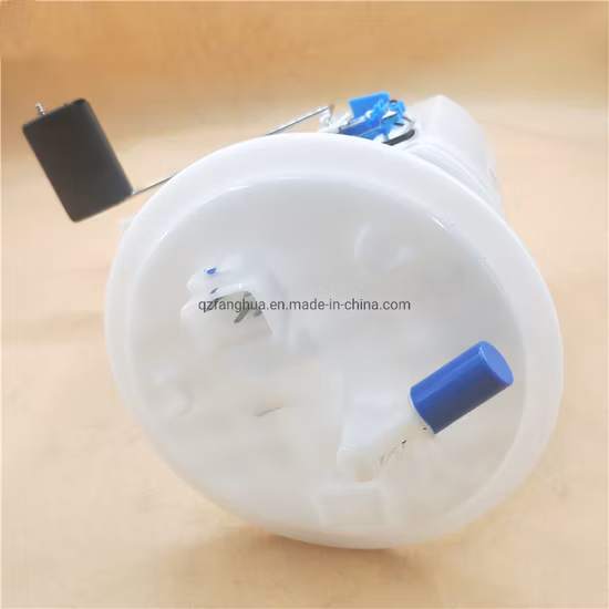 Gruppo pompa carburante elettrica di alta qualità, ricambi auto per Audi Daewoo Chrysler OE 96376973 04L919081 96350586 65255140000 96351053