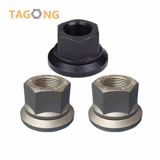 Produttore specializzato Dado per mozzo per camion DIN74361A, dadi per ruote di grado 10 per ricambi auto per camion, oliati con rondella mobile, a prezzo di fabbrica